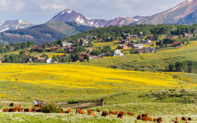 „Ograniczenie emisji gazów cieplarnianych pochodzenia rolniczego” – konferencja